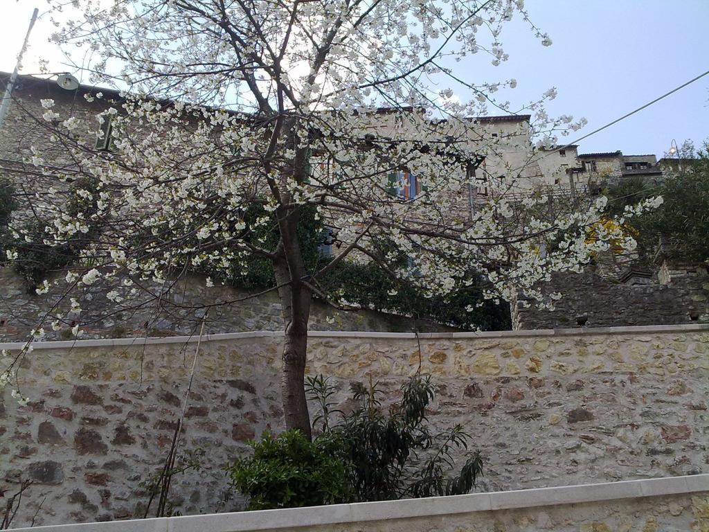 Il Paradiso Nel Borgo Arrone Extérieur photo
